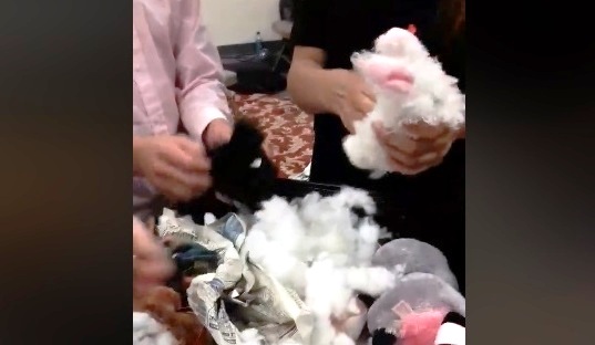 peluches diabolicos